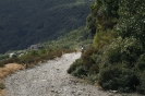 Bild_1