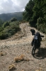 Bild_2