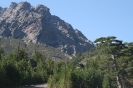 Bild_4
