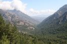 Bild_5