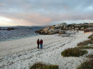 Bild_2