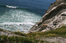 Bild_102