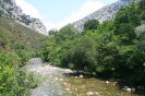 Bild_111