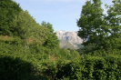 Bild_117