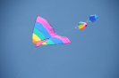 Bild_77