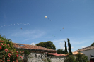 Bild_80