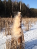Bild_7