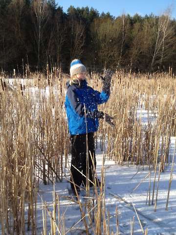 Bild-5