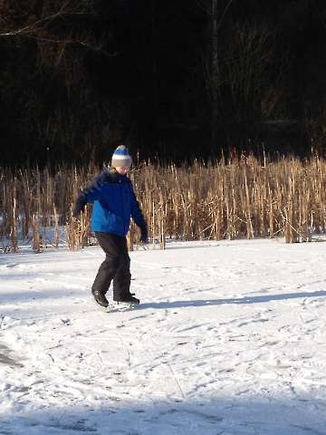 Bild-7
