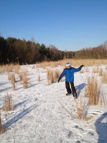 Bild-8