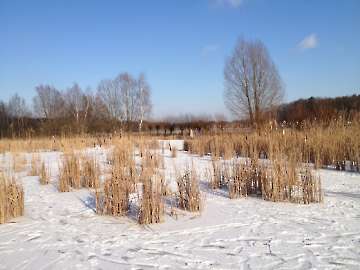 Winter 2012