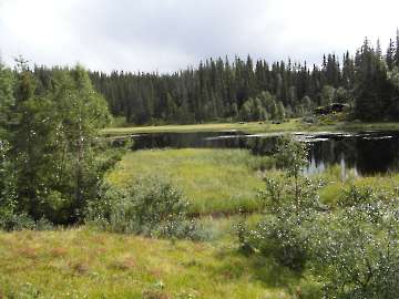 Bild-4
