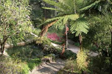Bild-7