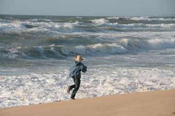 Bild-28