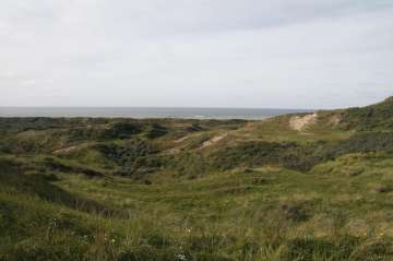 Bild-4